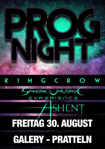 Prog Night 2013 au Z7