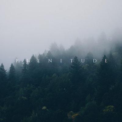 2018 - Plénitude