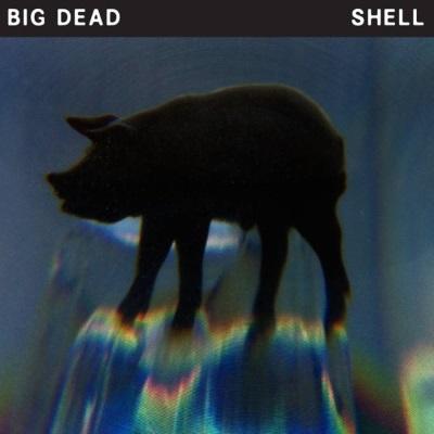 2016 - Shell