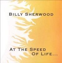 Billy Sherwood - At the speed of life