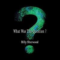 Billy Sherwood - What was the question