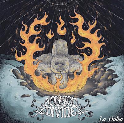 Boisson Divine - La Halha