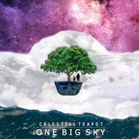 2015 - One Big Sky