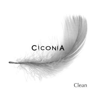 Ciconia - Clean