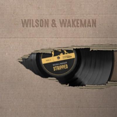 Damian Wilson - Stripped