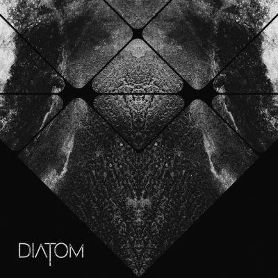 2019 - Diatom