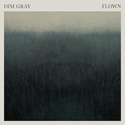 Dim Gray - Flown