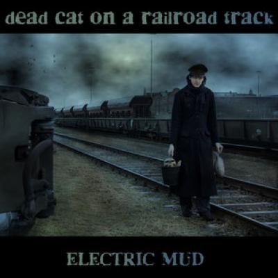 2013 - Dead Cat on a Railroad Track