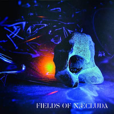 2019 - Fields of Naecluda