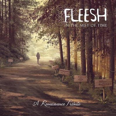 Fleesh - In the Mist of Time