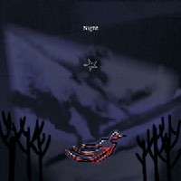 2007 - Night