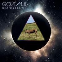 Gov't Mule - Dark Side Of The Mule