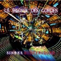 La Théorie des Cordes - Singes Electriques