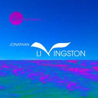 MetaQuorum - Jonathan Livingston