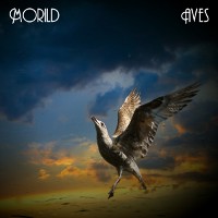 Morild - Aves