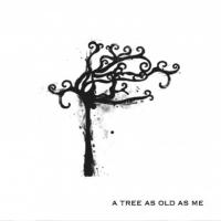 Nordic Giants - A Tree As Old As Me