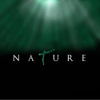 2014 - Nature