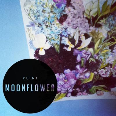 2012 - Moonflower