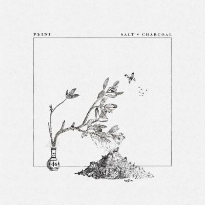 Plini - Salt - Charcoal