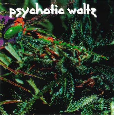 Psychotic Waltz - Mosquito