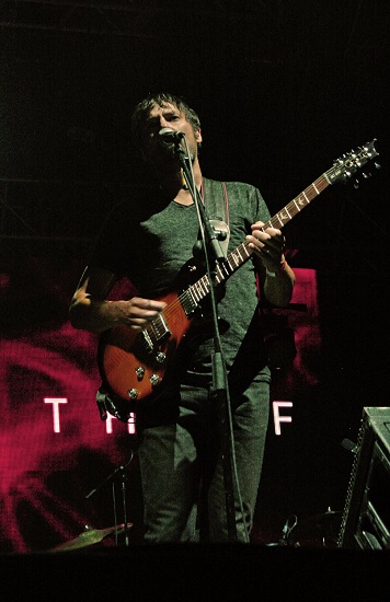 The pineapple thief