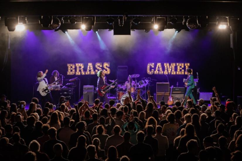 Brass Camel