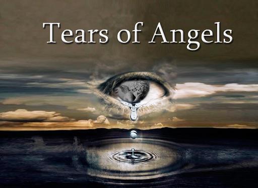 Tears Of Angels pourrait enregistrer un album en 2014