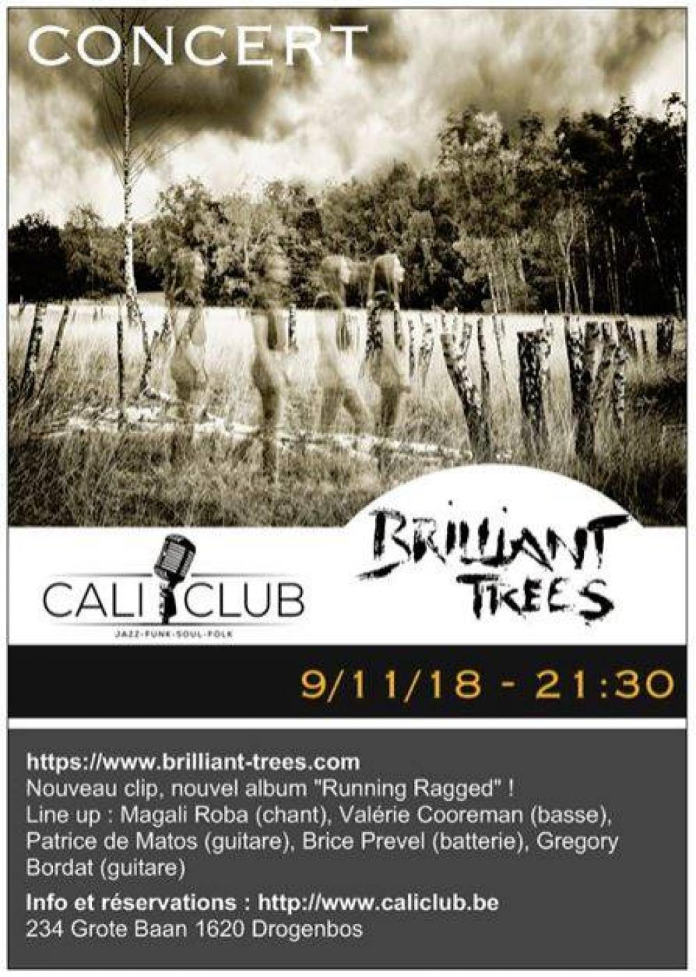 Brilliant Trees au CaliClub